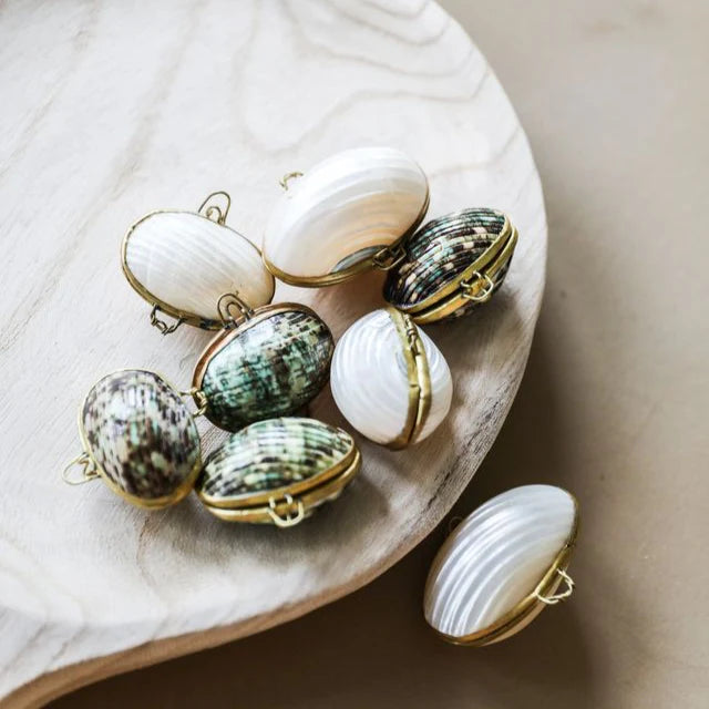 Seashell Lip Balm Mini Duo