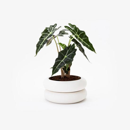 White Stacking Planter