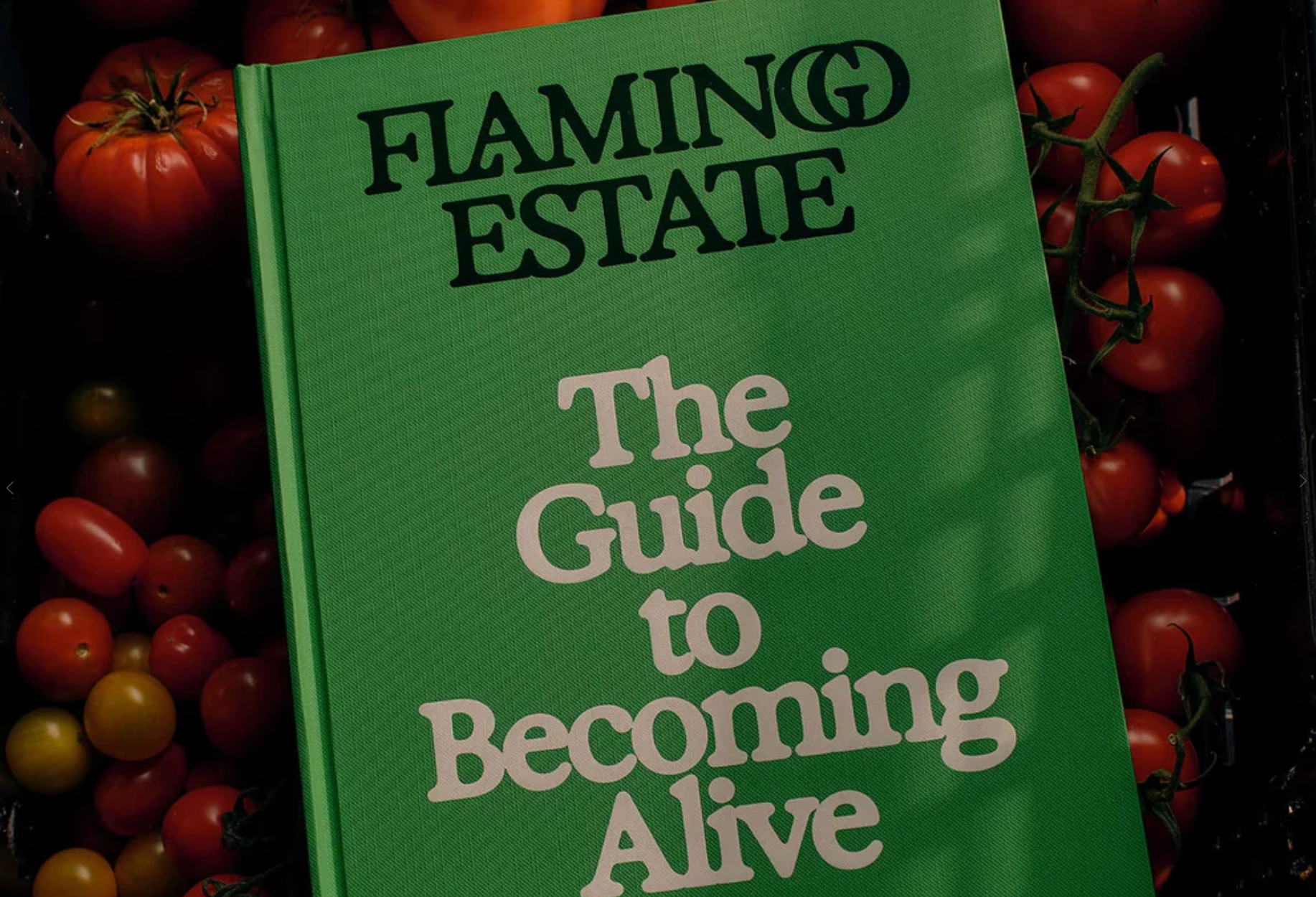 The Guide to Becoming Alive